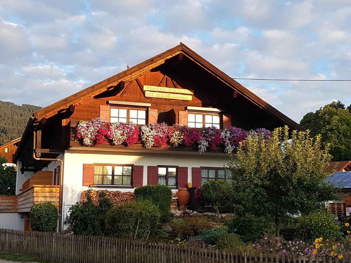 Ferienwohnungen Am Buchbrunnen 普夫龙滕 外观 照片